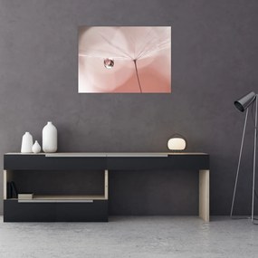 Sklenený obraz - Kvapka rosy (70x50 cm)