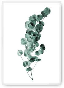 Plagát Eucalyptus Emerald Green