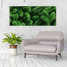 Obraz - Vetvičky ihličnanu (120x50 cm)