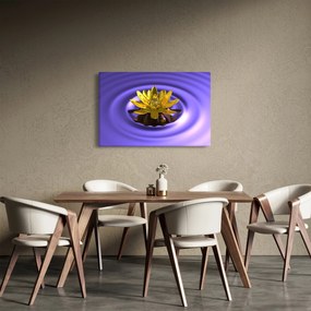 Obraz - Lekno (90x60 cm)