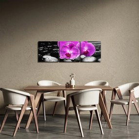Obraz - Fialové orchidey (s hodinami) (90x30 cm)