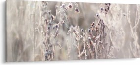 Obraz - Rastlina (120x50 cm)