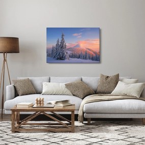 Obraz - Zimná krajina (90x60 cm)