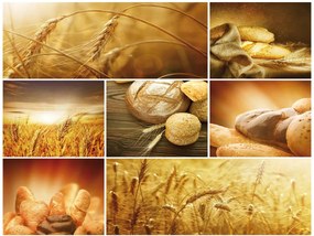 Fototapeta - Čerstvé pečivo (254x184 cm)