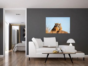 Obraz - Tigrice a jej mláďa (90x60 cm)