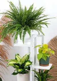 Stojan na kvety TOWER biely