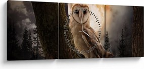 Obraz sovy (s hodinami) (90x30 cm)