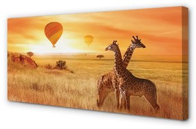 Obraz canvas Balóny neba žirafa 140x70 cm
