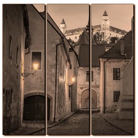 Obraz na plátne - Bratislava staré mesto s hradom vzadu - štvorec 3265FB (105x105 cm)
