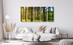 5-dielny obraz slnečné ráno v lese - 200x100