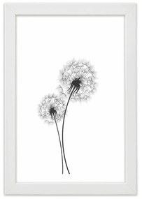 Gario Plagát Nakreslené dve púpavy Farba rámu: Bez rámu, Rozmery: 20 x 30 cm