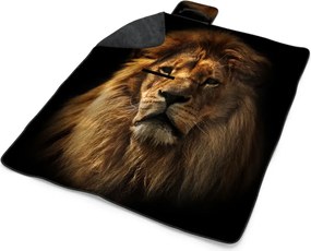 Sablio Plážová deka Lev: 200x140 cm