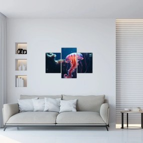 Obraz - Medúzka (90x60 cm)