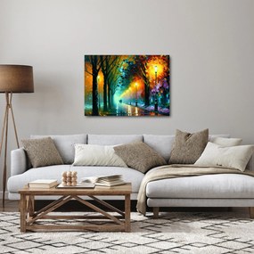 Obraz - Nočná prechádzka (70x50 cm)