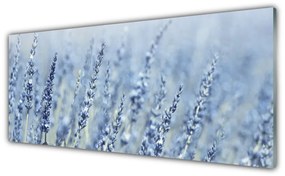 Obraz plexi Kvety klasy lúka príroda 125x50 cm