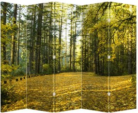 Paraván - Les na jeseň (210x170 cm)