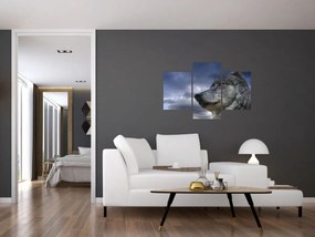 Obraz - Vlčia hlava (90x60 cm)