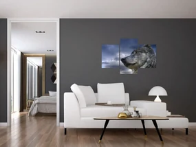 Obraz - Vlčia hlava (90x60 cm)