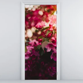 Fototapeta na dvere - Kvety rozvinutého kríka (95x205cm)