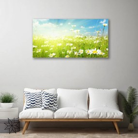 Obraz na plátne Lúka sedmokrásky príroda 125x50 cm