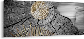 Obraz - Kmeň stromu v koláži (120x50 cm)