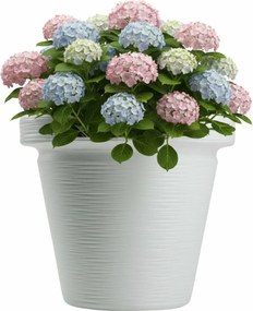 Plastový kvetináč Riflo 47,9x55 cm biely