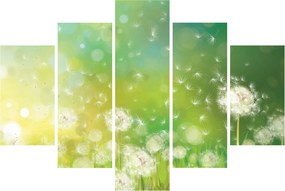 Obraz - Odkvitnuté púpavy (150x105 cm)