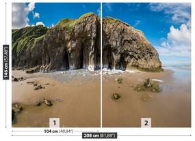 Fototapeta Vliesová Pláž walese 104x70 cm