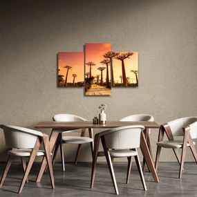 Obraz - Západ slnka v uličke Baobab (90x60 cm)