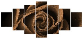 Detail ruže - obraz