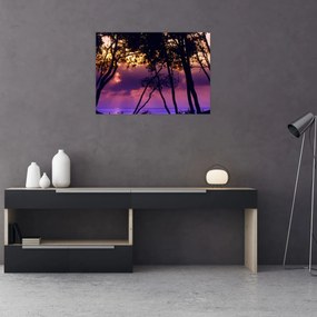 Sklenený obraz - Stromy pri západe slnka (70x50 cm)