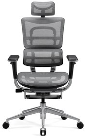 Kancelárska ergonomická stolička Diablo V-Master, čierno-šedá