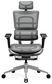 Kancelárska ergonomická stolička Diablo V-Master, čierno-šedá