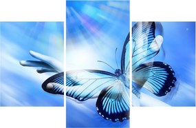 Obraz - Motýľ, symbol nádeje (90x60 cm)