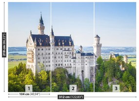 Fototapeta Vliesová Neuschwanstein 208x146 cm