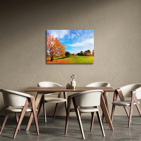 Obraz - Jesenná krajina (70x50 cm)
