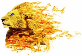 Samolepiaca tapeta ohnivý lev - 150x100
