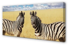 Obraz na plátne zebra box 120x60 cm