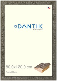 DANTIK rám na obraz 80x120 | Dora Silver (Plexi Čiré)