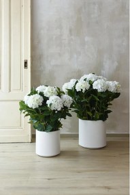 Umelá hortenzia HYDRANGEA v bielom kvetináči, výška 78 cm, biela