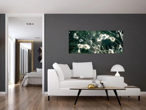 Obraz - Pavučina (120x50 cm)