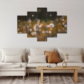 Obraz - Lúka s cottongrass N⁰2 (150x105 cm)