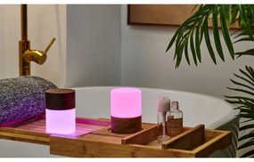 Stmievateľná stolová lampa v prírodnej farbe so skleneným tienidlom (výška 10,5 cm) Lemelia - Gingko