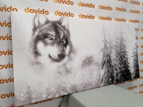 Obraz vlk v zasneženej krajine v čiernobielom prevedení