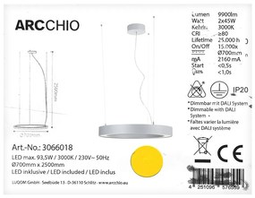 Arcchio Arcchio - LED Luster na lanku PIETRO 2xLED/45W/230V LW1353