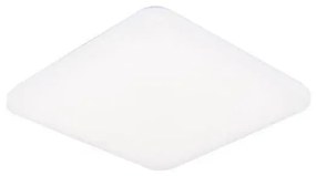 LED Stmievateľné stropné svietidlo s hlasovým ovládaním OPAL LED/48W/230V + DO