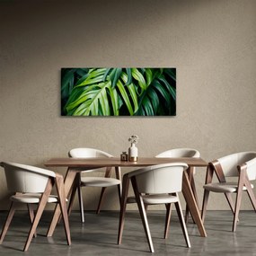 Obraz - Tropické listy (120x50 cm)