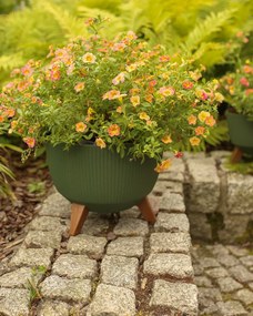 PLASTOVÝ KVETINÁČ ROSA LINEA ECO SADA 2KS 15X24,3 CM+18,3X29,2 CM ZELENÁ