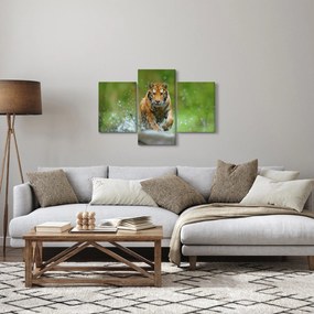 Obraz - Bežiaci tiger (90x60 cm)