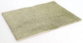 ITC, Koberec metráž Avelino 23, na mieru, šíře 4m, zelená, fusion back, chodba / predsieň